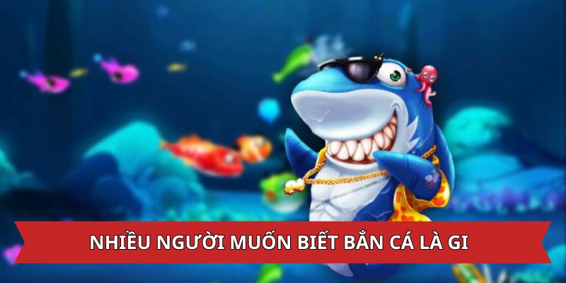 Game Bắn Cá Là Gì - Lý Giải Tại Sao Đây Là Trò Chơi Thu Hút Nhiều Người Chơi?