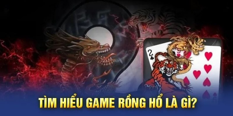 Trả lời câu hỏi rồng hổ là gì để truy cập đầu tư hiệu quả